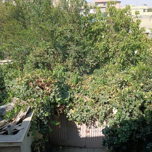 اجاره خانه ویلایی