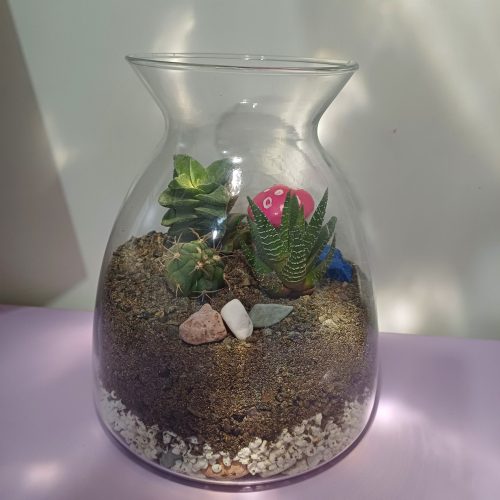 تراریوم کاکتوس