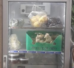 یخچال حرفا ای مارک پپسی