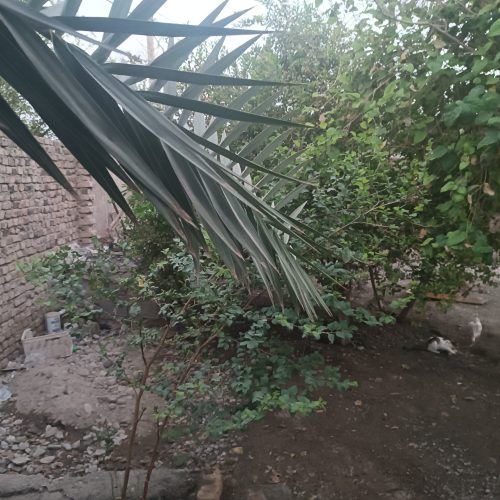 فروش زمین مسکونی ب متراژ 280 در محمدان ایرانشهر