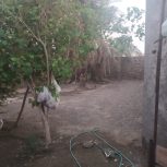 فروش زمین مسکونی ب متراژ 280 در محمدان ایرانشهر