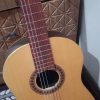 گیتار نو