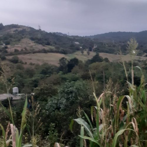 خانه ویلایی در ارتفاع با چشم اندازی زیبا واقع در روستای واسکس