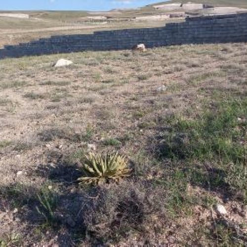 فروش زمین 700متری در ایرانق