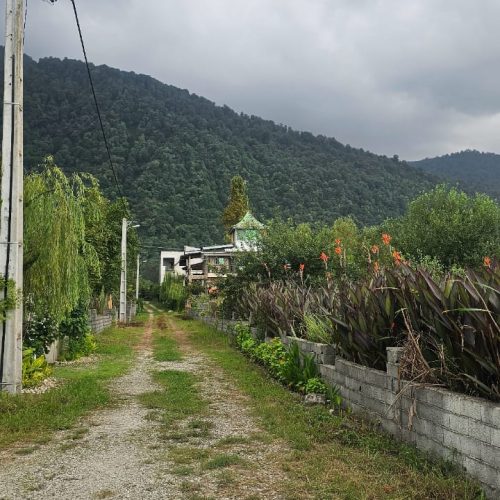 زمین مسکونی