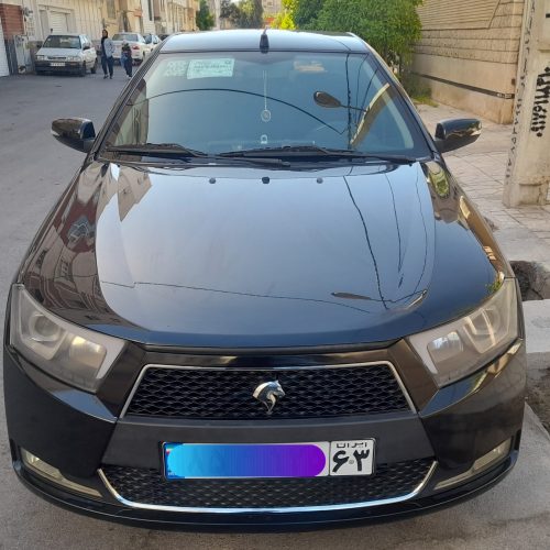 دنا معمولی مشکی تیپ 1