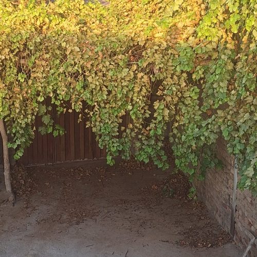 خانه ویلایی 320 متری یک خوابه