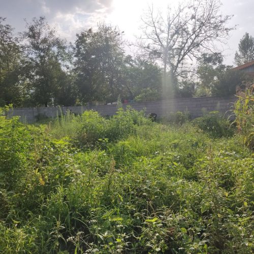 630 متر زمین در پره سر دیناچال