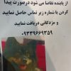 سگ 3 ساله پامرین مشکی در پارک تندرستی گم شده