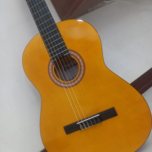 گیتار آریا