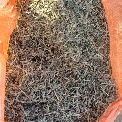 یونجه گونی شده