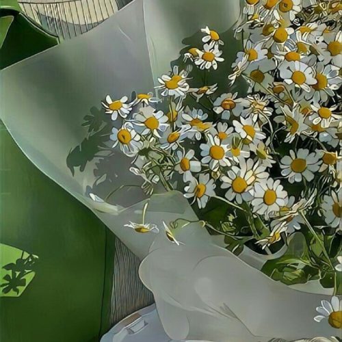 علاقمند ب ادمینی اینستاگرام