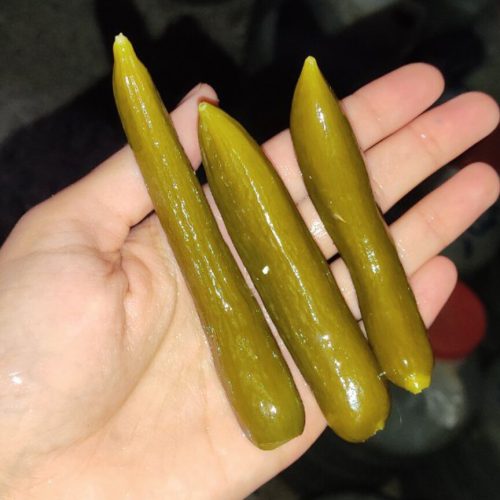 خیارشور