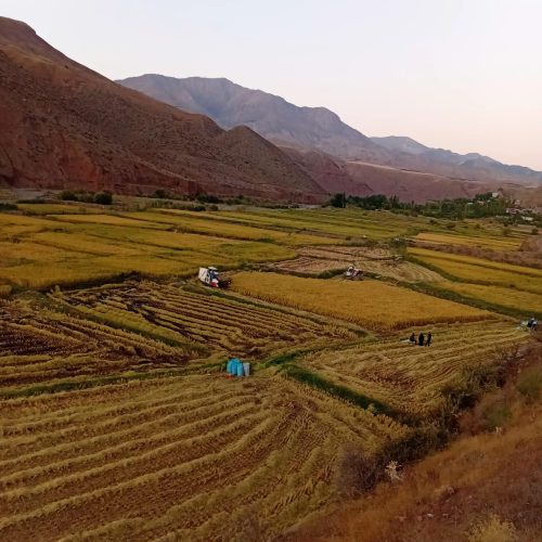 تور ویژه اسب سواری