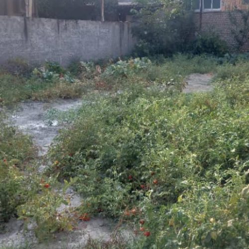 زمین خانه سرا