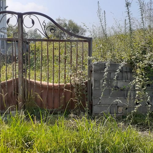 فروش زمین در مازندران نوشهر ملکار