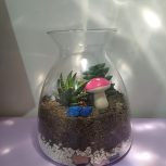 تراریوم کاکتوس