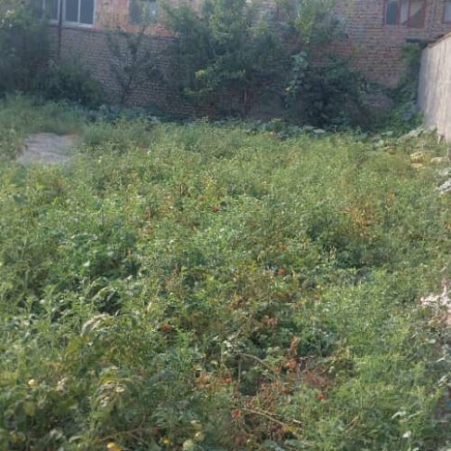 زمین خانه سرا