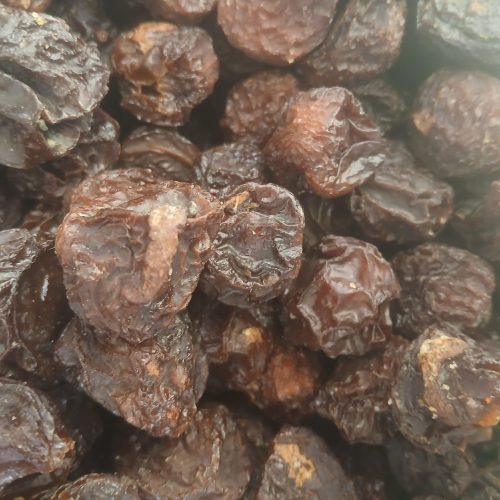 آلوچه مستقیم از تولید کننده