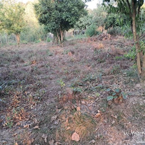 زمین 270 متری تمام مسکونی