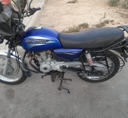 باکسر