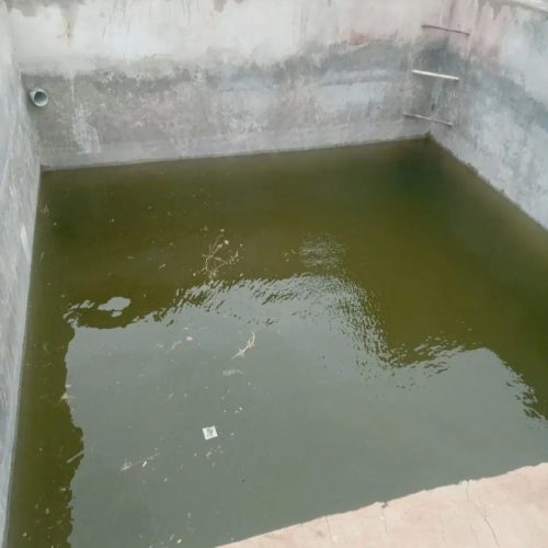 باغ ، باغچه پاکدشت (جیتو)