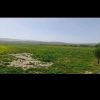 زمین کشاورزی
