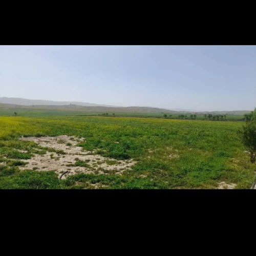زمین کشاورزی