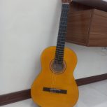 گیتار آریا