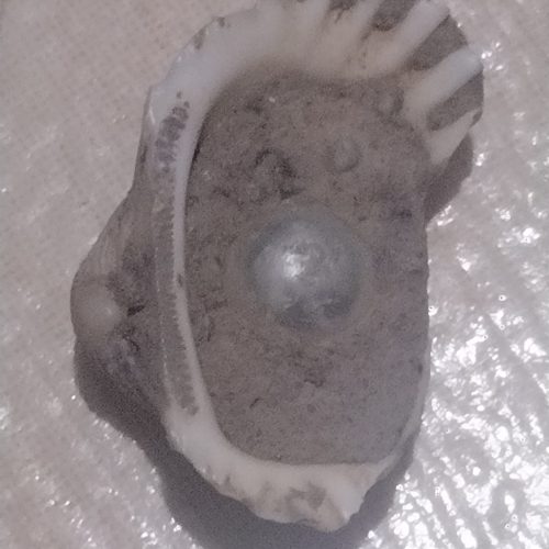 مروارید باستانی بی نظیر