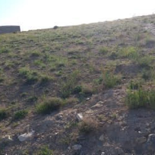 فروش زمین 700متری در ایرانق