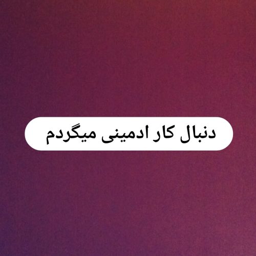 📌دنبال کار ادمینی به صورت مجازی میگردم📌