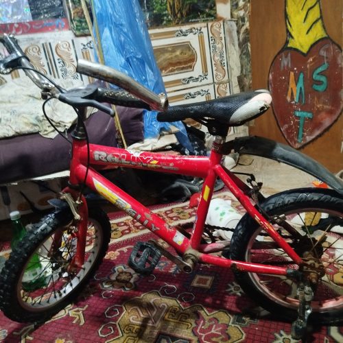 دوچرخه رالی 16