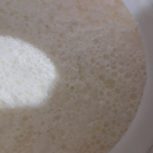 شیروماست بزوگاو