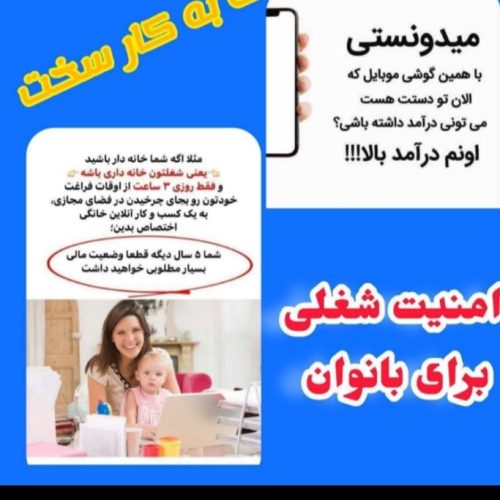فروشنده اینترنتی/آدمین اینستا گرام