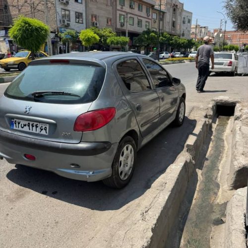 206 تیپ 2 دور رنگ