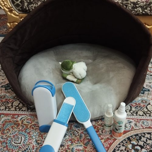 جا خواب سگ