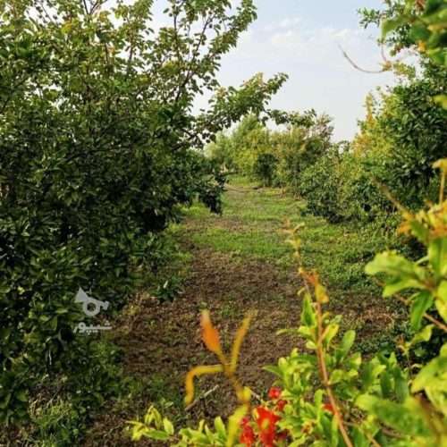 3500متر زمین واقع در هولا جنب شرکت نفت به فروش میرسد