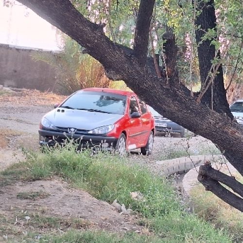 206 فرانسوی اصل تیپ 2 مدل 82
