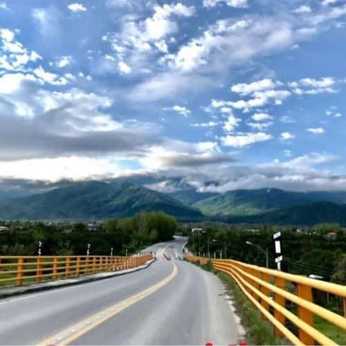 زمین مسکونی متراژ372 با درخت پرتقال