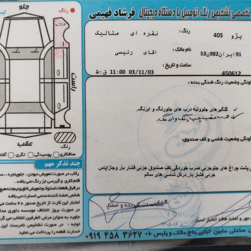 پژو 405 نقره ای
