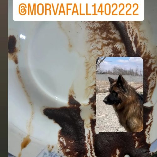 فال قهوه مروا فال