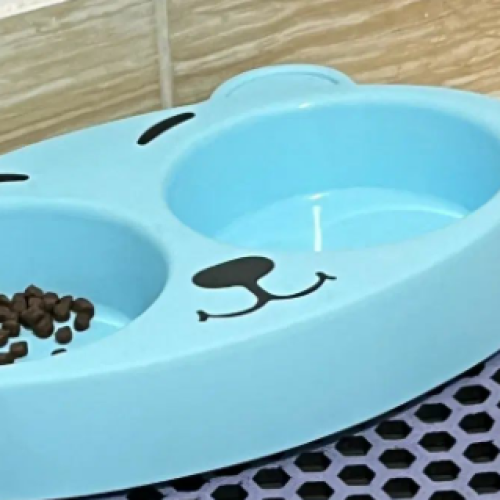 گربه اسکاتیش