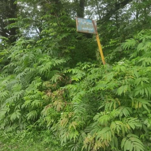 400متر زمین شمال با لوکیشن عالی