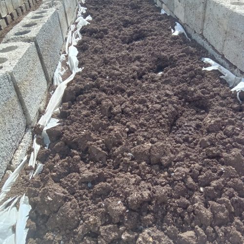 کود مایع ورمی کمپوست