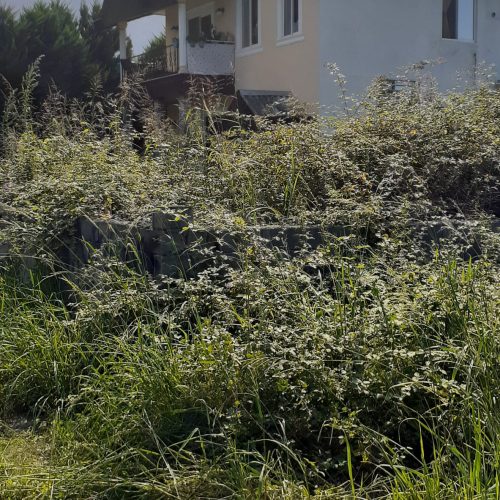 فروش زمین در مازندران نوشهر ملکار