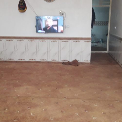 بنادر