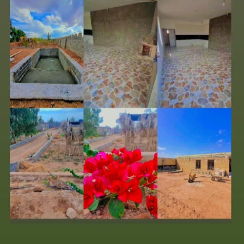 خانه باغ و زمین رفسنجان