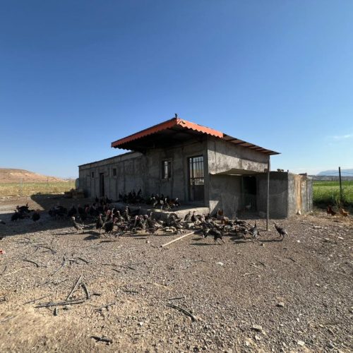 فروش فوری: زمین ۸۰۰ متری با سالن پرورش دام و طیور و اتاقک خدماتی