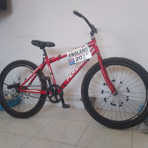 دوچرخه ساده 26